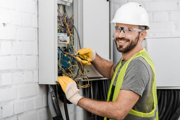 Best Electric Panel Repair  in Nashville, MI